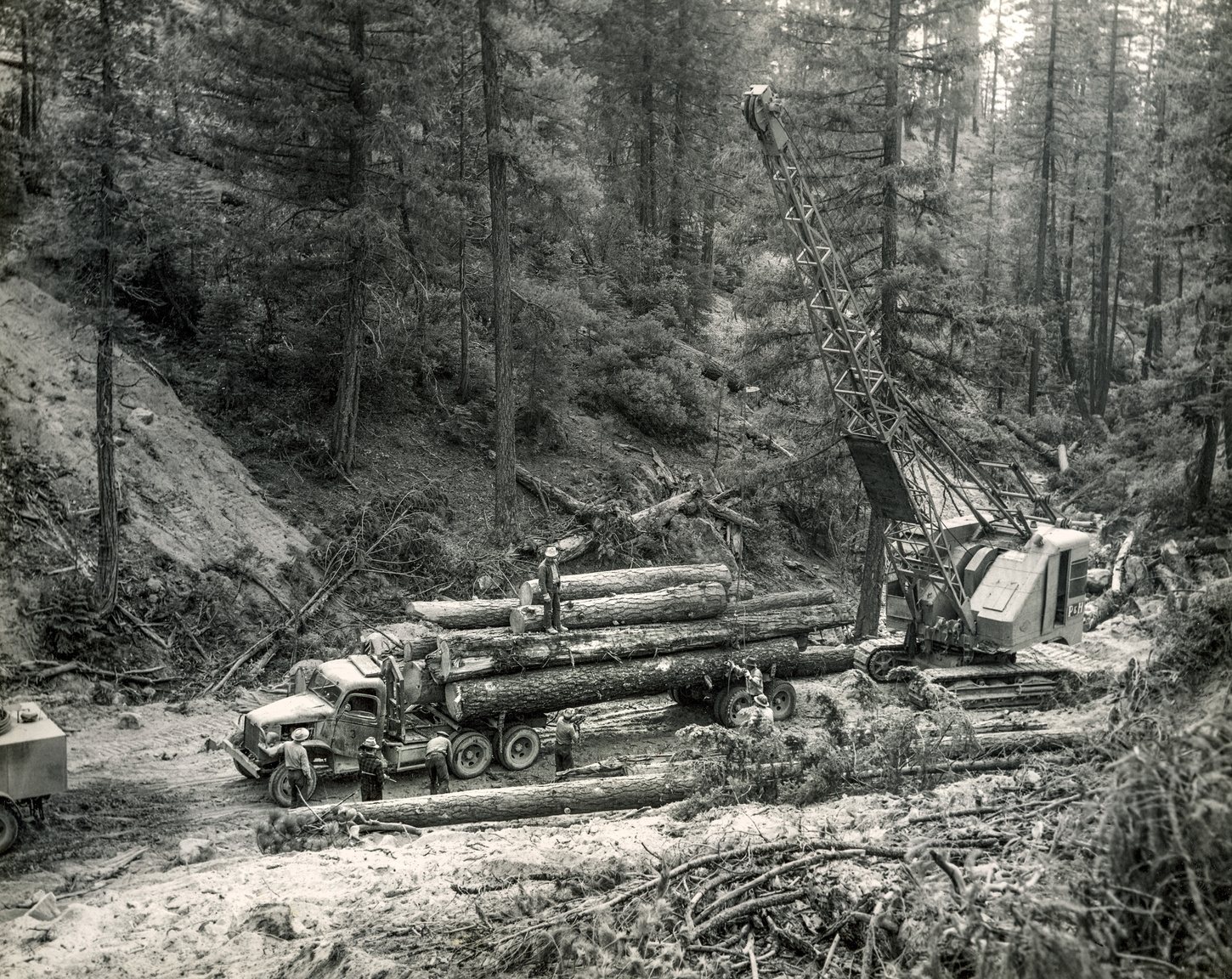 Crane loading logs onto a truck at a canyon landing surrounded by tall conifers, circa 1950