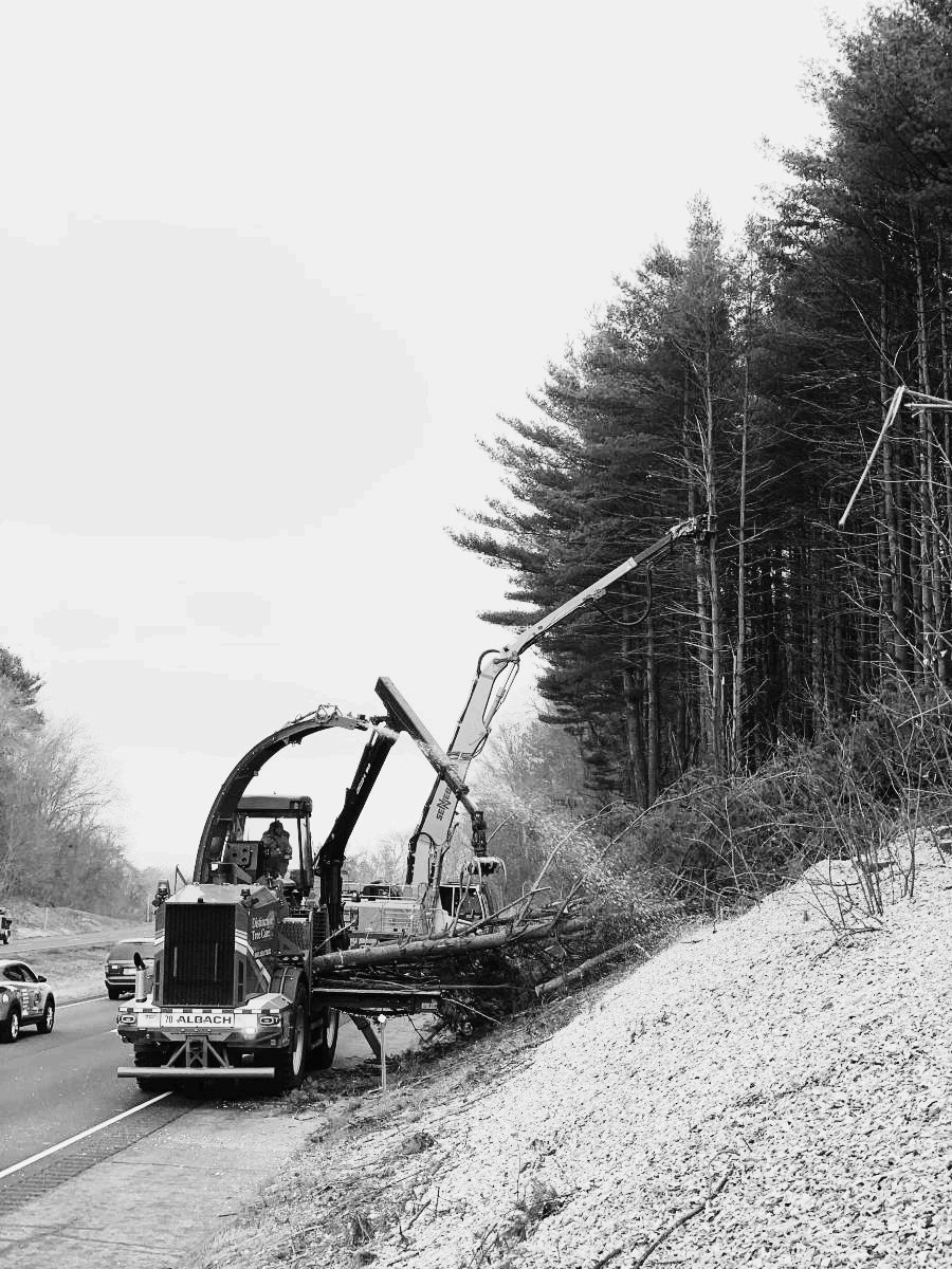 Albach mobile chipper working on a highway shoulder with a boom feeding material