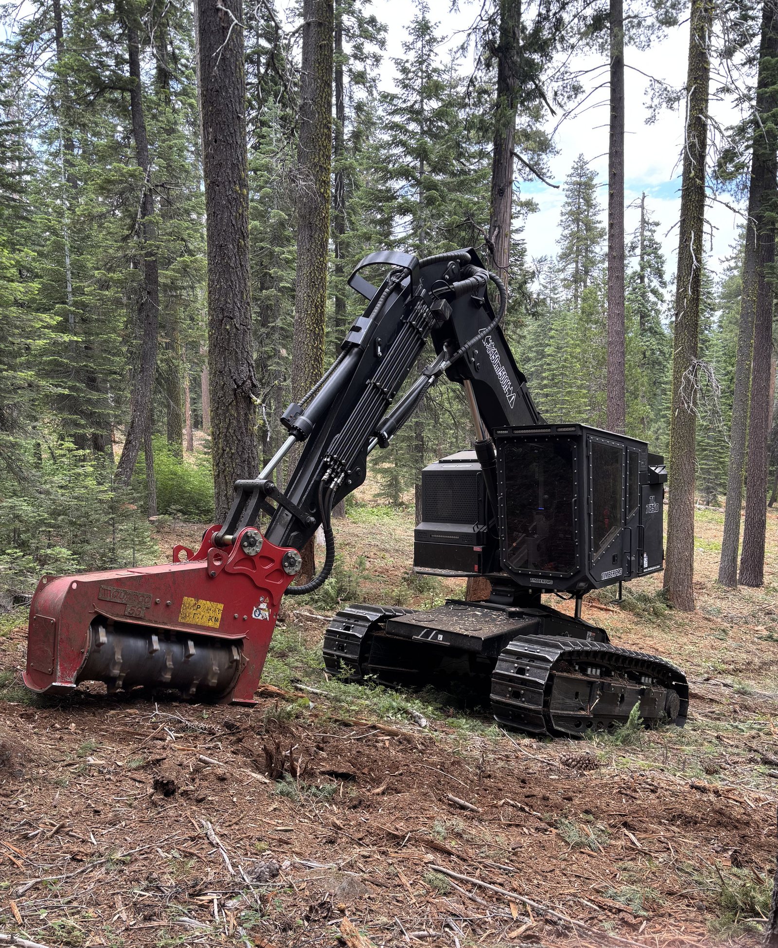 Timberpro TL735D tracked masticator with a red mulching head working in a pine stand