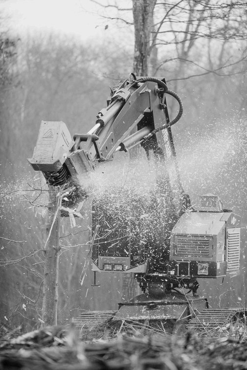Close view of a mulching head grinding a stem with chips flying