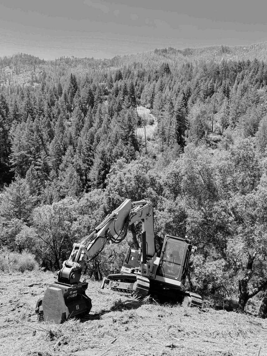 Tracked masticator working along a ridge above a forested canyon