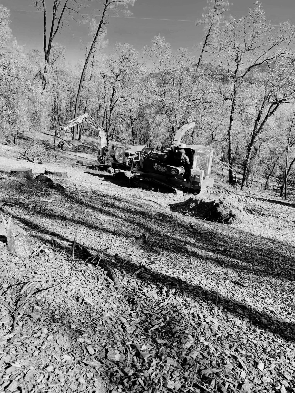 Mobile chipper and grapple excavator processing woody debris on a burned hillside